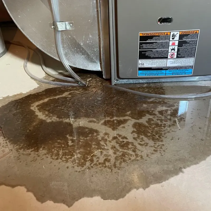 Pipe Burst and Leak Restoration in Edwardsville, PA