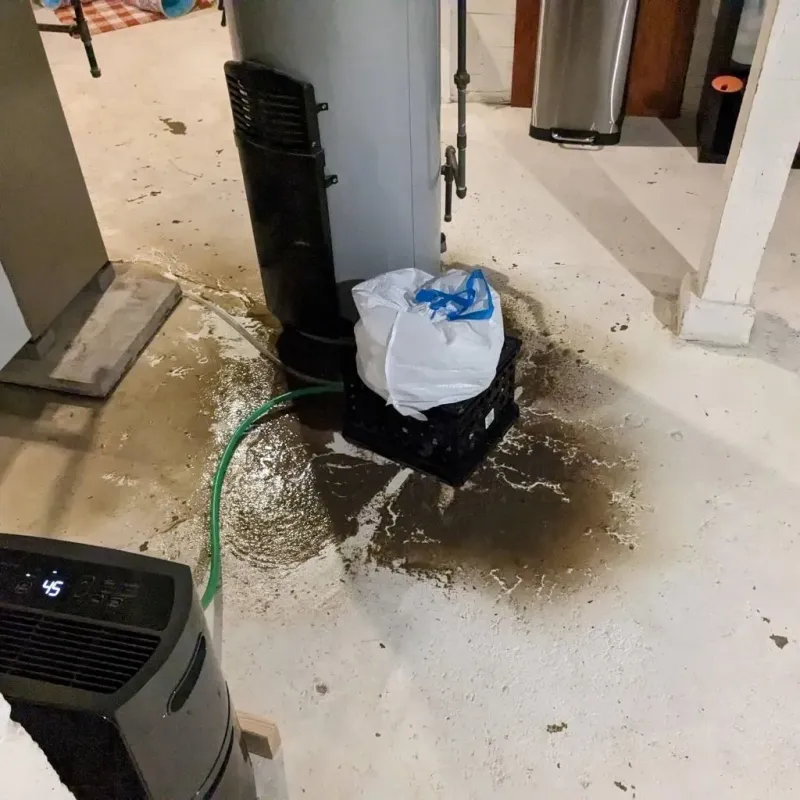 Sewage Backup Cleanup Service in Edwardsville, PA